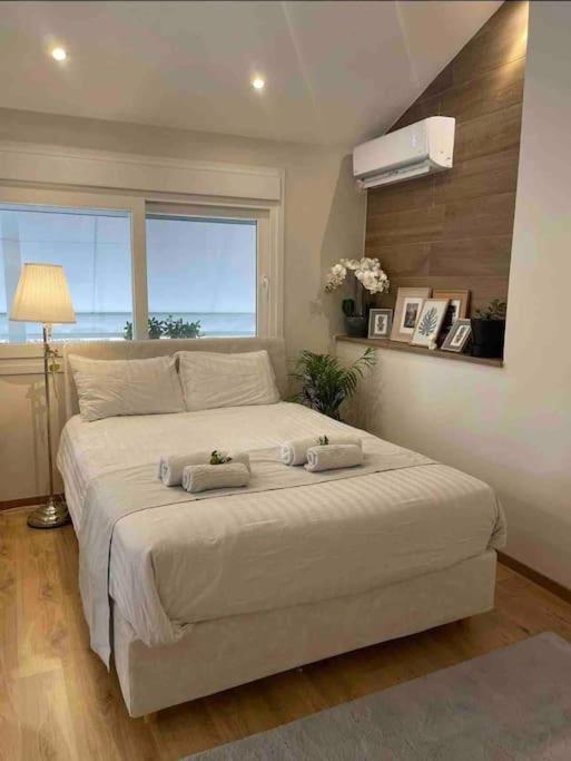 Cozy Studio Στο Κεντρο Larissa Zewnętrze zdjęcie